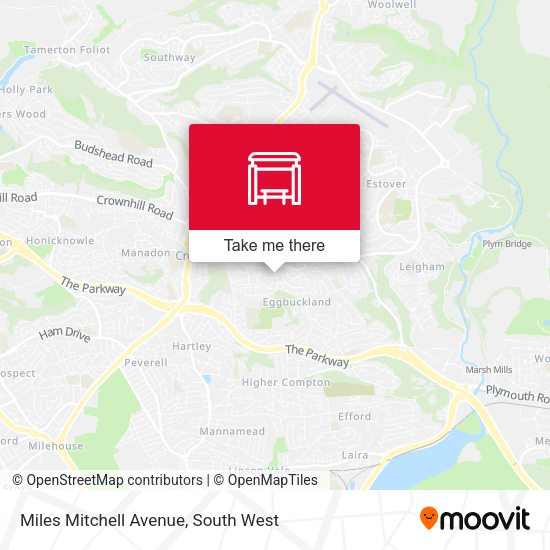 Miles Mitchell Avenue map