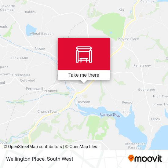 Wellington Place map