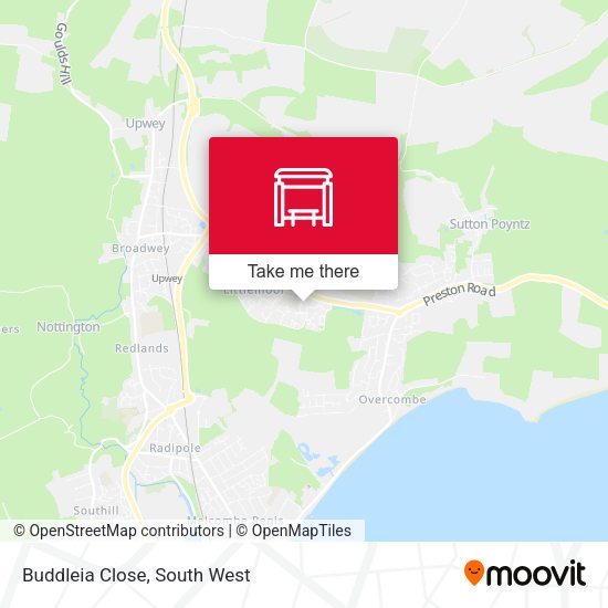 Buddleia Close map