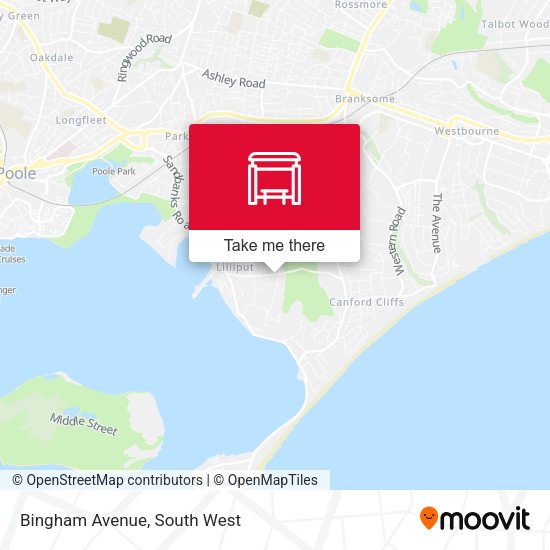 Bingham Avenue map