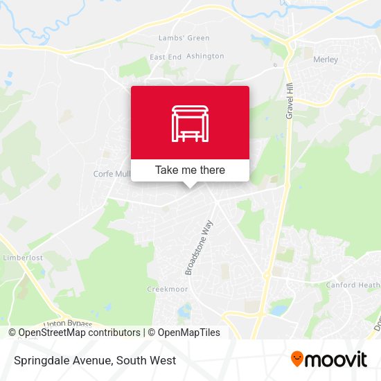 Springdale Avenue map