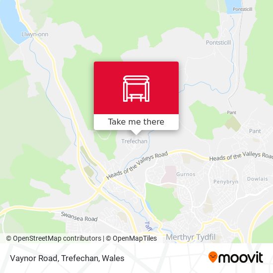 Vaynor Road, Trefechan map