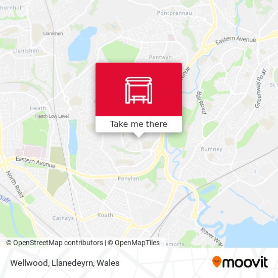 Wellwood, Llanedeyrn map