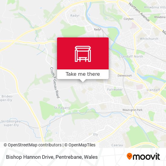 Bishop Hannon Drive, Pentrebane map
