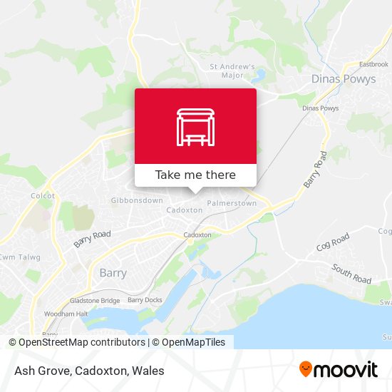 Ash Grove, Cadoxton map