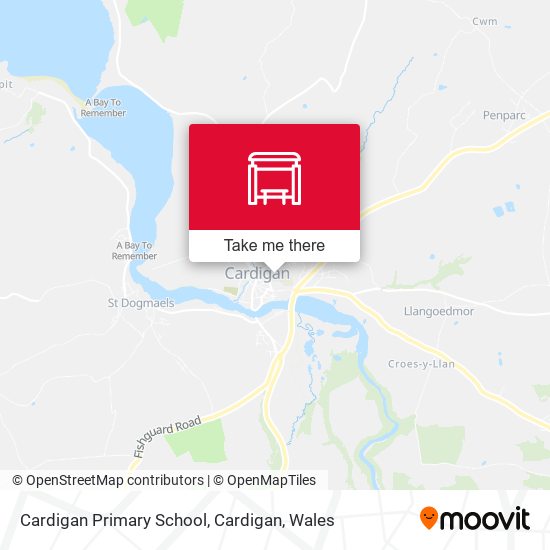 Cardigan Primary School, Cardigan map