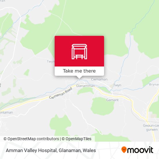 Amman Valley Hospital, Glanaman map