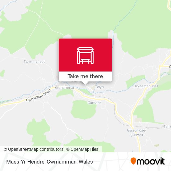 Maes-Yr-Hendre, Cwmamman map