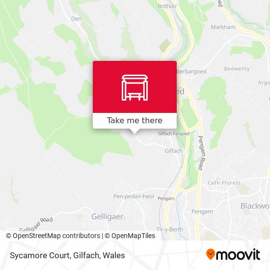 Sycamore Court, Gilfach map