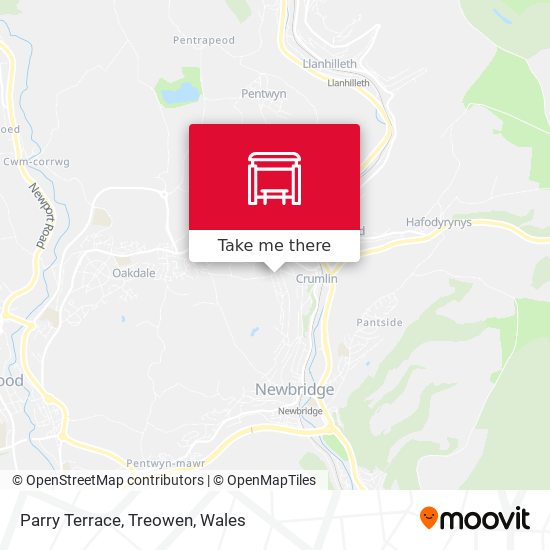 Parry Terrace, Treowen map
