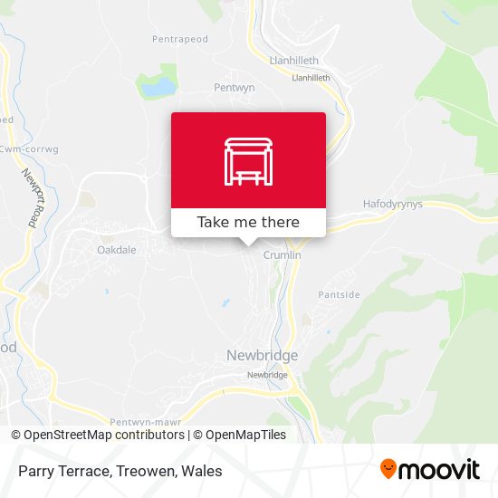 Parry Terrace, Treowen map