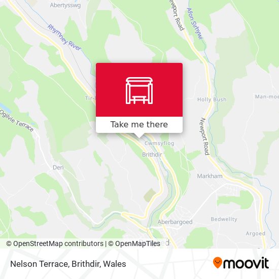 Nelson Terrace, Brithdir map