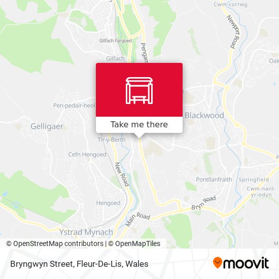 Bryngwyn Street, Fleur-De-Lis map