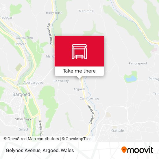 Gelynos Avenue, Argoed map