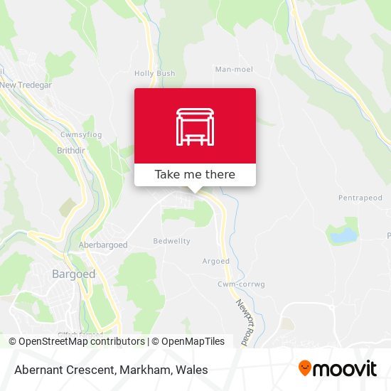 Abernant Crescent, Markham map