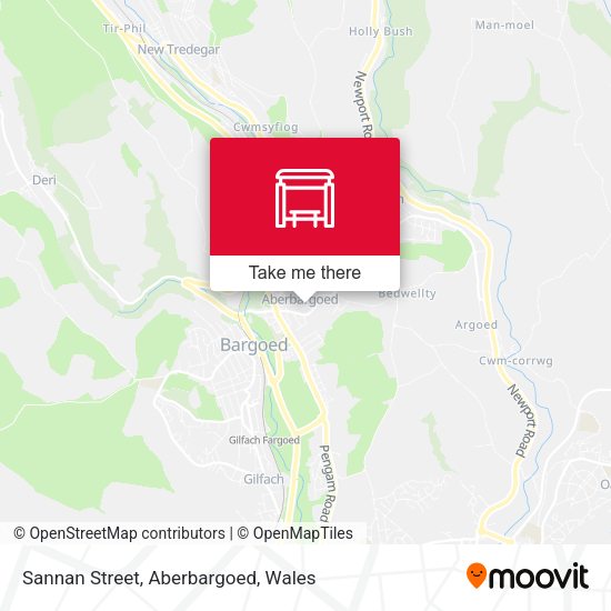 Sannan Street, Aberbargoed map