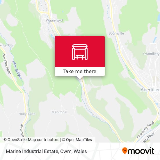 Marine Industrial Estate, Cwm map