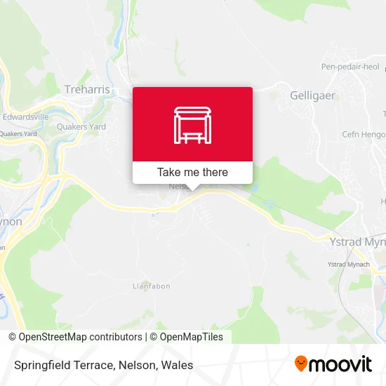 Springfield Terrace, Nelson map