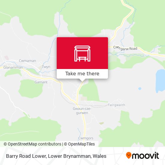 Barry Road Lower, Lower Brynamman map