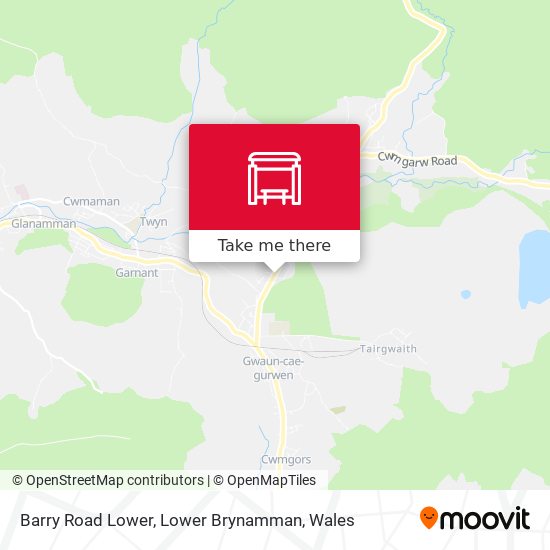 Barry Road Lower, Lower Brynamman map