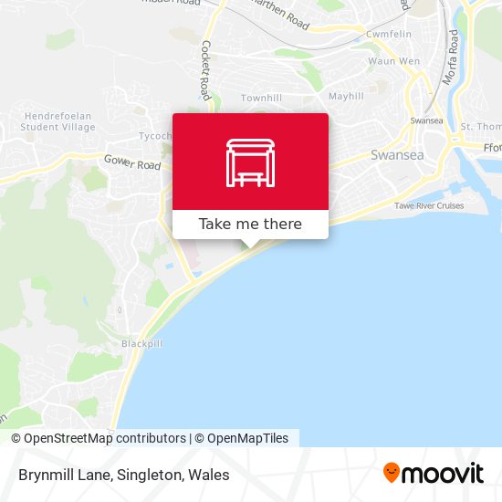 Brynmill Lane, Singleton map