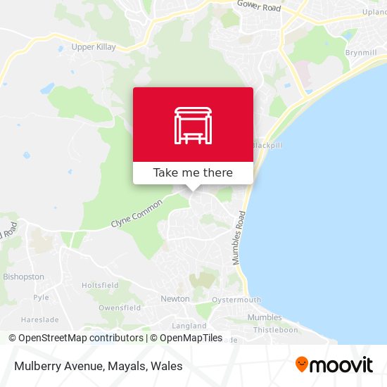 Mulberry Avenue, Mayals map