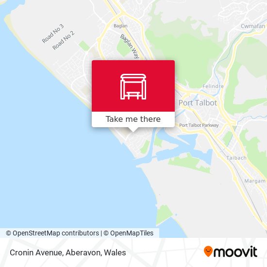 Cronin Avenue, Aberavon map