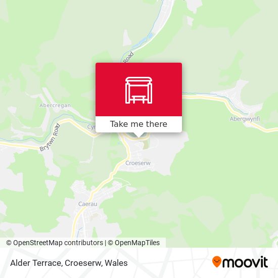 Alder Terrace, Croeserw map