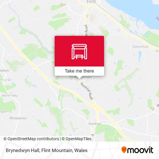 Brynedwyn Hall, Flint Mountain map