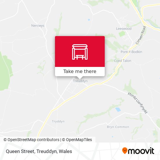 Queen Street, Treuddyn map