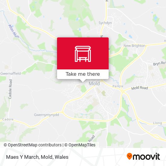 Maes Y March, Mold map