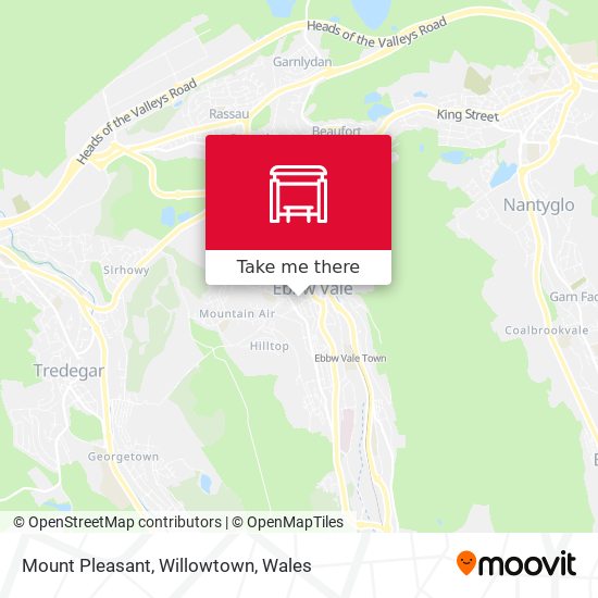 Mount Pleasant, Willowtown map
