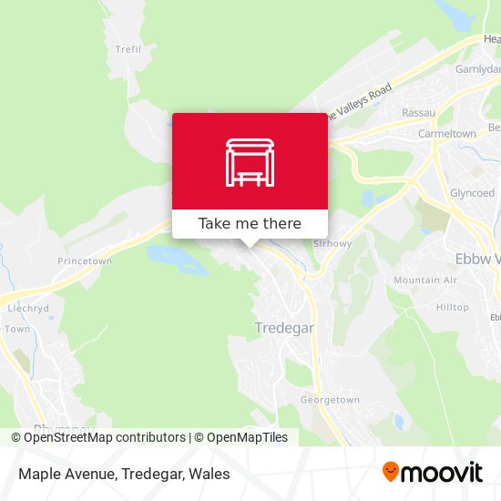 Maple Avenue, Tredegar map