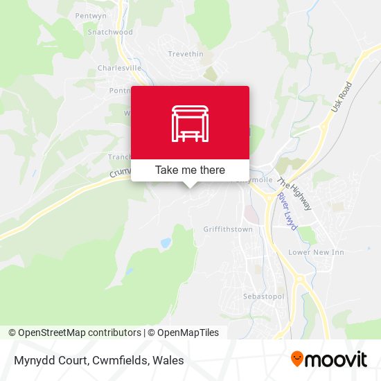 Mynydd Court, Cwmfields map