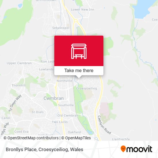 Bronllys Place, Croesyceiliog map