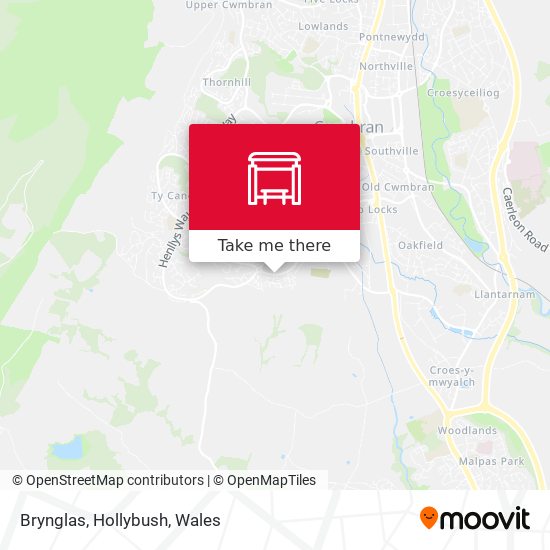 Brynglas, Hollybush map