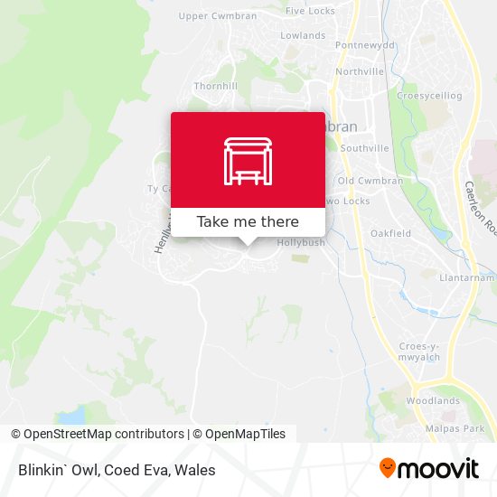 Blinkin` Owl, Coed Eva map