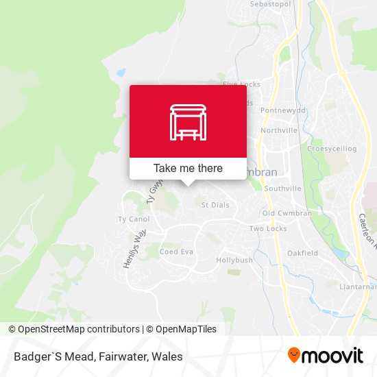 Badger`S Mead, Fairwater map