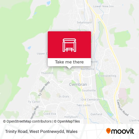 Trinity Road, West Pontnewydd map