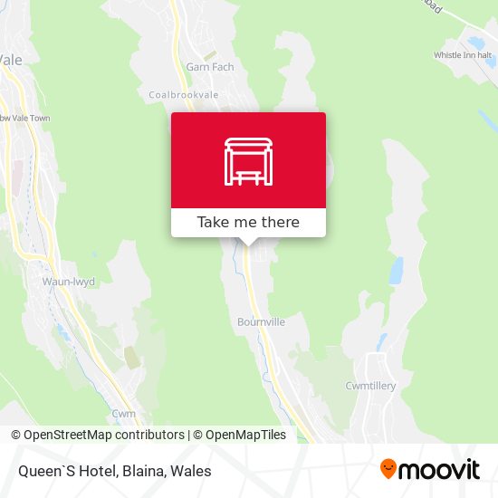 Queen`S Hotel, Blaina map