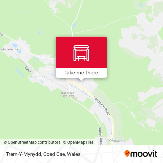 Trem-Y-Mynydd, Coed Cae map