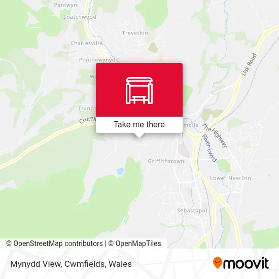 Mynydd View, Cwmfields map