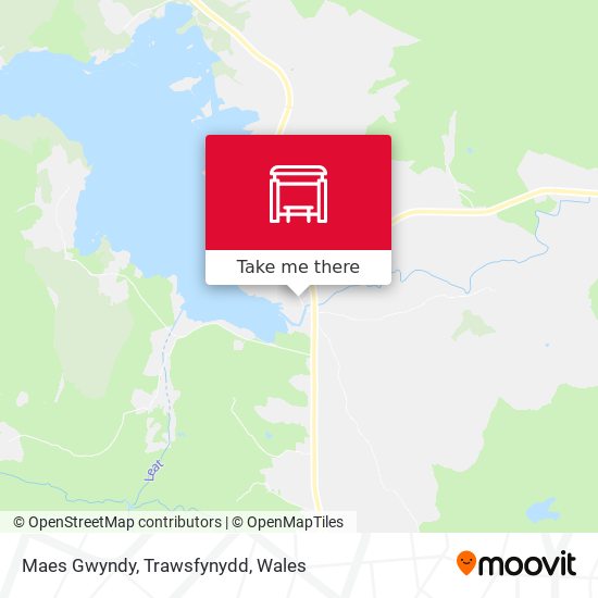 Maes Gwyndy, Trawsfynydd map