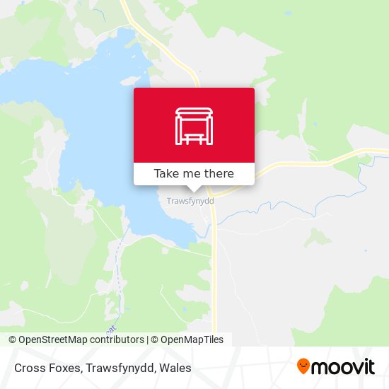 Cross Foxes, Trawsfynydd map