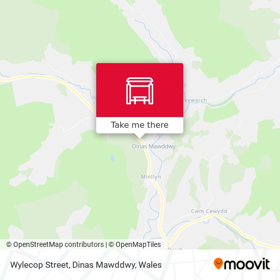 Wylecop Street, Dinas Mawddwy map