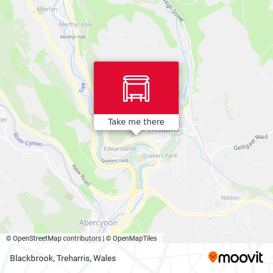 Blackbrook, Treharris map