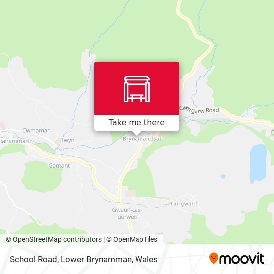 School Road, Lower Brynamman map