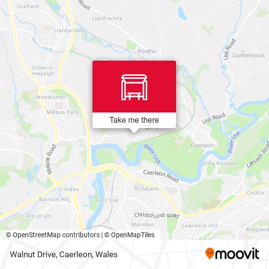 Walnut Drive, Caerleon map
