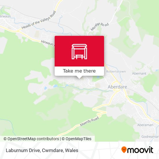 Laburnum Drive, Cwmdare map