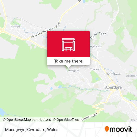 Maesgwyn, Cwmdare map